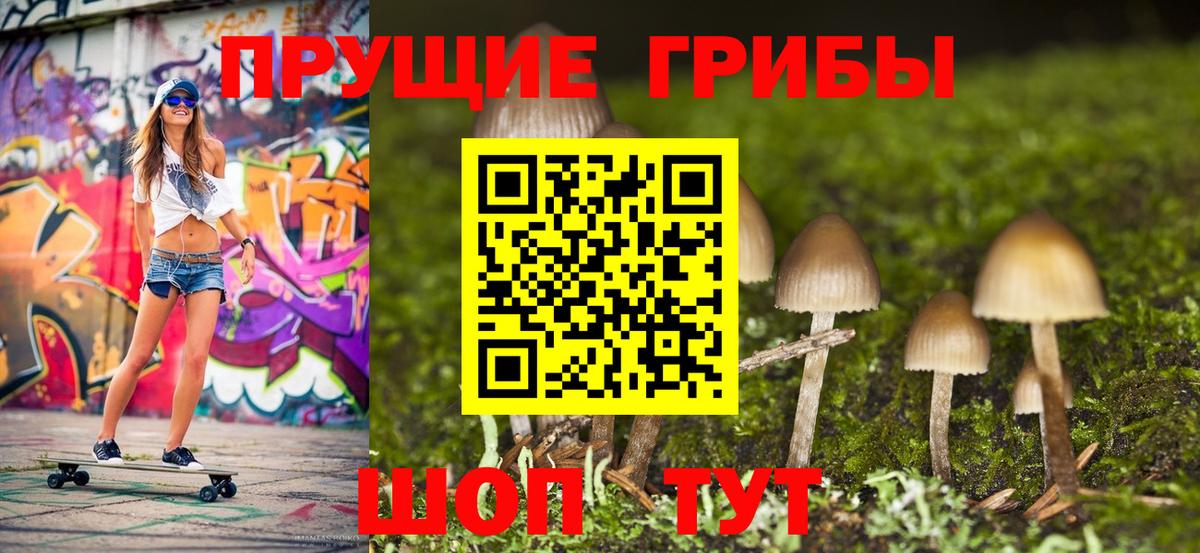 Галлюциногенные грибы MAGIC MUSHROOMS  Вход с VPN  закладка  Псилоцибиновые грибы Psilocybe  Кириши 