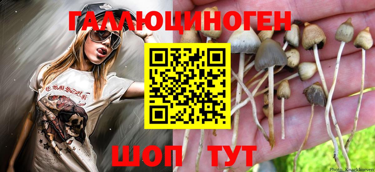 Псилоцибиновые грибы Magic Shrooms Кириши