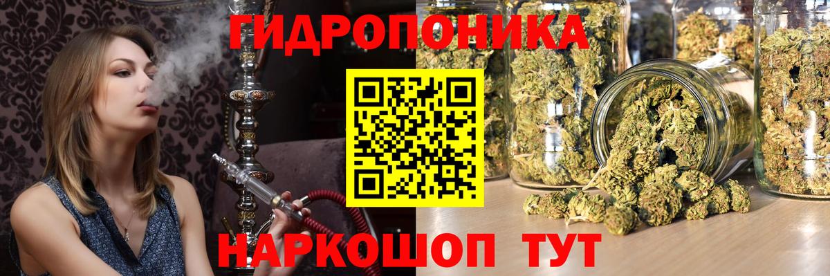 МАРИХУАНА планчик Кириши
